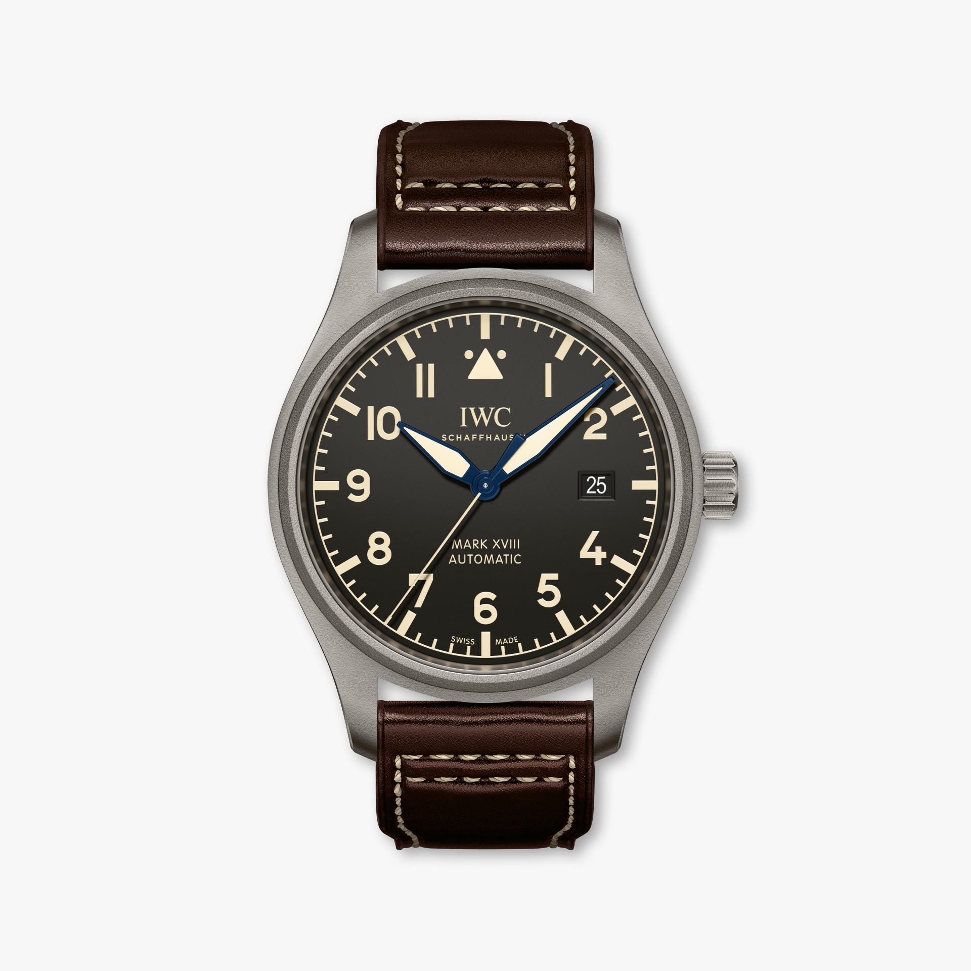 images/richmont-international--28iwc-29/iwc/pilot-s-watches/classic/iw327006/iw327006_maison-de-greef_iwc-schaffhausen_watches_front.jpg